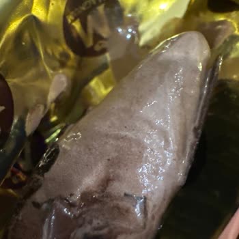 Algida Magnum Mini Double Ürününde Çıtır Çıtır Şekerimsi Doku Sorunu