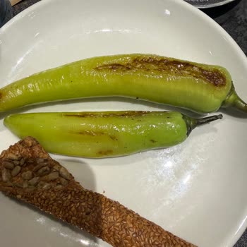 Soğuk Ve Hijyenik Olmayan Yemekler Nedeniyle Restoranda Yaşadığım Olumsuz Deneyim Ve İade Talebi