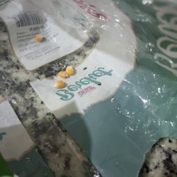 Tekirdağ Çerkezköy Onur Market Şubesinde Böceklenmiş Mısır Satışı