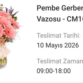 Anneler Günü Siparişinde Görseliyle Uyumsuz Antoryum Çiçeği