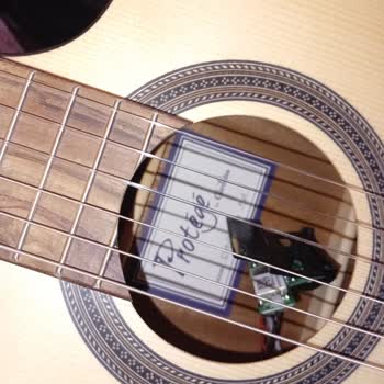 Ekolayzır Sistemi Yerinden Çıktı, Gitar Kalite Kontrol Sorunu Ve Hızlı Çözüm Talebi
