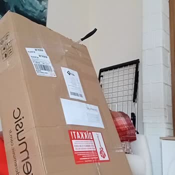 Ekolayzır Sistemi Yerinden Çıktı, Gitar Kalite Kontrol Sorunu Ve Hızlı Çözüm Talebi