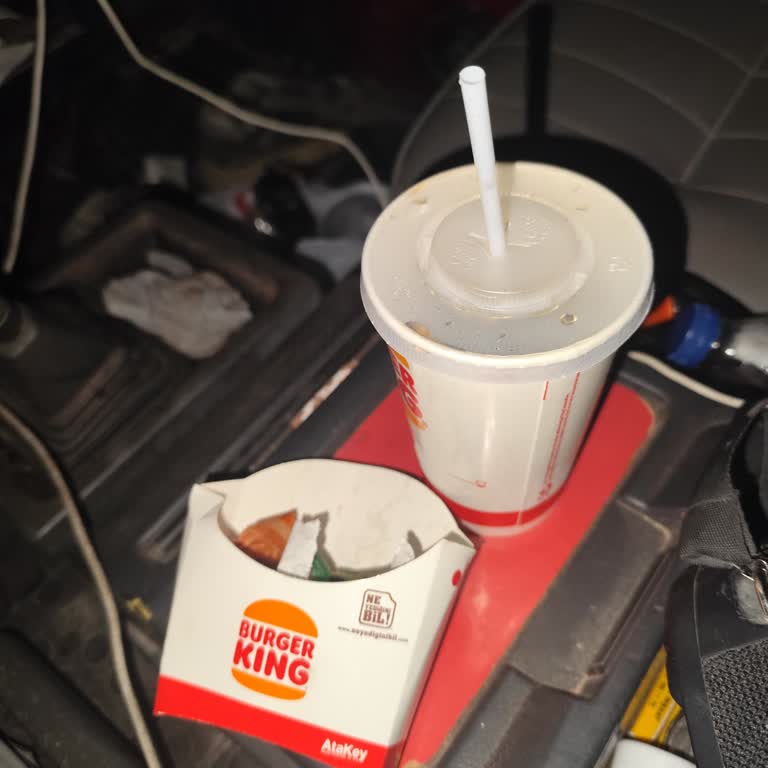 Ücretine Uygun Olmayan Soğuk Ve Yağlı Burger Deneyimi