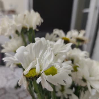 Anneler Günü Çiçek Sepeti'nden Çürük Buket Ve Aşırı Fiyat