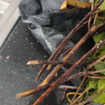 Anneler Günü Çiçek Sepeti'nden Çürük Buket Ve Aşırı Fiyat