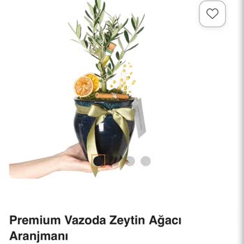 Sipariş Edilen Saksı Çiçek Görsel Ve Açıklama İle Uyuşmuyor, Kalp Figürü Eksik Ve Müşteri Hizmetlerinden Cevap Gelmiyor