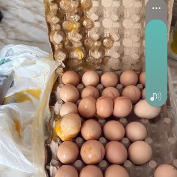 Teslim Edilmeyen Ürünler Ve Çözüm Olmayan Müşteri Hizmetleri