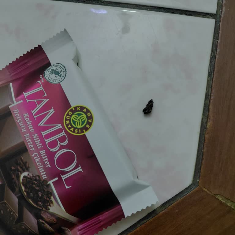 Kahve Dünyası Çikolatasında Taş Benzeri Yabancı Cisim Dişimi Neredeyse Kırdı