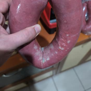 Küflü Sucuk Ve Belgesiz Gönderim İçin Sağlık Riski Ve Tam İade Talebi