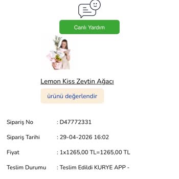 Teslim Edildi Görünen Zeytin Ağacı Ve Yanlış Renkli Çiçek Siparişi