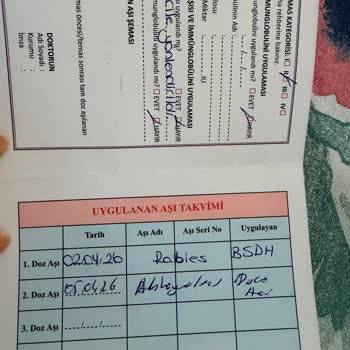 Magdeburger Sigorta Şikayeti