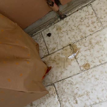 1.050 TL'lik Siparişte Dökülmüş Ürünler Ve Cevapsız Müşteri Hizmeti