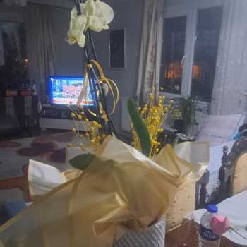 Sipariş Edilen Orkidenin Hasarlı Gelmesi Ve İade İsteği