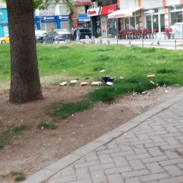 Kamelyada Alkol Ve Gürültü Sorunu Mahalleyi Rahatsız Ediyor