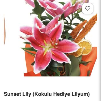 Yanıltıcı Lilyum Gönderimi Ve Cevapsız Müşteri Hizmeti: İade Talebi