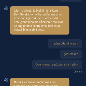 80.000 TL Çekim Talebim Ödendi Göründüğü Zaman Hesaba Yansımadı