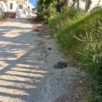 Güllük Mahallesi 176. Sokakta Çukurlu Ve Yokuşlu Yolun Acil Onarımı Gerekiyor