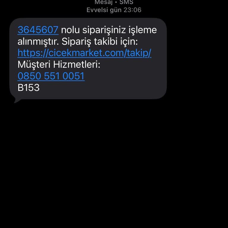 Teslim Edilmeyen Sipariş İçin 1249 TL İade Talebi Ve Müşteri Hizmetleri Yanıtsızlığı