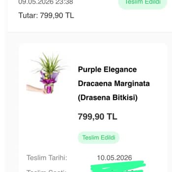 Anneler Günü Çiçeği Yerine İzinsiz Zeytin Fidesi Gönderildi