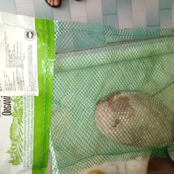 Migros 5M Gebze Şubesinde Tıkla Gel Al Hizmetinde Yanlış Sipariş, Uzun Bekleme Ve İlgisiz Personel