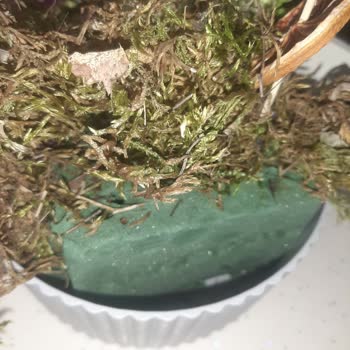 Kiremit Saksı Çiçek Siparişinde Görsel Yanıltması Ve Cevapsız İade Talebi