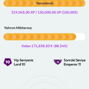 Zlot Sitesinde Yatırımlar 10 Dakikada Eridi ve Kazanma Şansı Yok