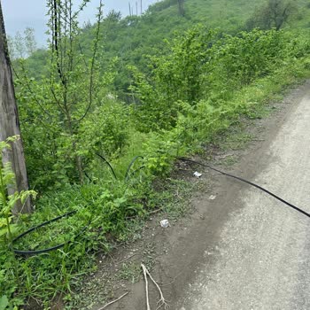 Kablo Düşmesi Nedeniyle İnternet Kesintisi Ve Acil Güvenlik Sorunu