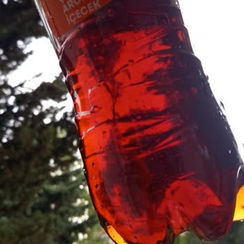 Lipton Ice Tea Şişesinde Küf Ve Sümüksü Madde: Şirketin Sorumluluk Reddi Ve Özür Talebi