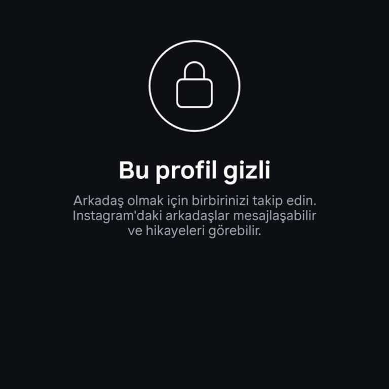 İtirazlarıma Yanıt Gelmeyen Haksız Instagram Hesabım Kapatıldı