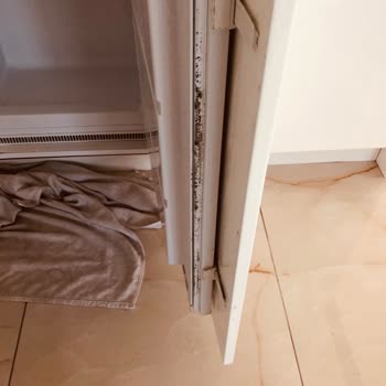 Electrolux Servisinden Cevap Gelmemesi Ve Acil Lastik Değişimi Talebi