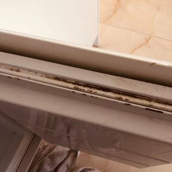 Electrolux Servisinden Cevap Gelmemesi Ve Acil Lastik Değişimi Talebi