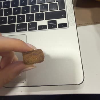 Wefood Glutensiz Krakerde Kıl Bulunması Hijyen Endişesi