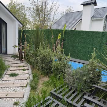 Sante Vita Sapanca’da Küçük Ve Kirli Bungalov, Hijyenik Olmayan Kahvaltı Ve Büyük Hayal Kırıklığı