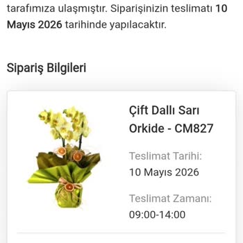 Çiçek Siparişimde Görselden Farklı, Ezilmiş Ve Soluk Ürün