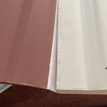 Teslimat Gecikmesi Ve Hasarlı Kitap Şikayeti