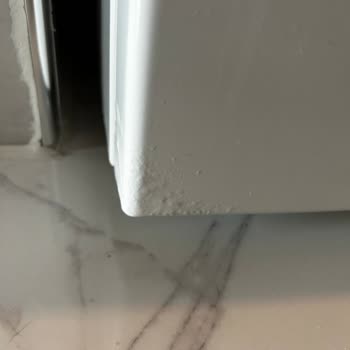 Bosch Çamaşır Makinesinde Deterjan Gözünde Paslanma Ve Boya Çözülmesi