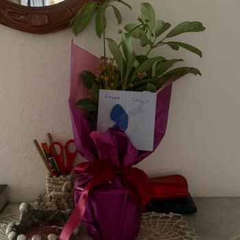 Görseldeki Limonlar Olmadan Gönderilen Çiçek Ve Cevapsız Müşteri Hizmetleri