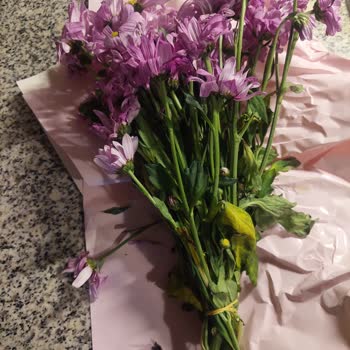 Çiçek Sepeti'nden Çürük Anneler Günü Çiçeği Teslimatı
