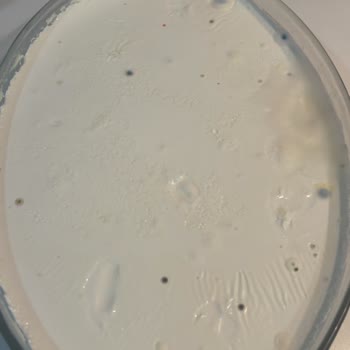 Alt Kapak Açık Kalan Beko D8365One Buzdolabında Sürekli Ürün Bozulması Ve Çözüm Beklentisi