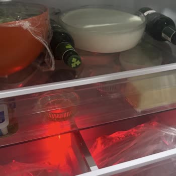 Alt Kapak Açık Kalan Beko D8365One Buzdolabında Sürekli Ürün Bozulması Ve Çözüm Beklentisi