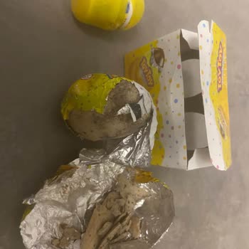 Bozuk Çocuk Yumurtası Ve Küflü Hindistan Cevizi İçin Hızlı Çözüm Talebi