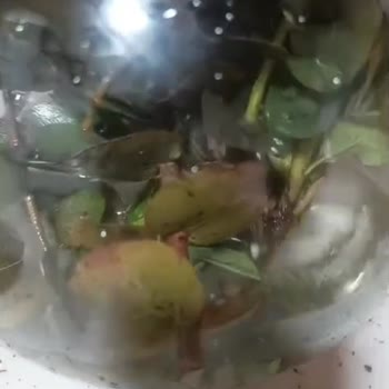 Çiçek Sepeti'nden Çürük Güller Görseliyle Uyuşmuyor Ve İade Talebi