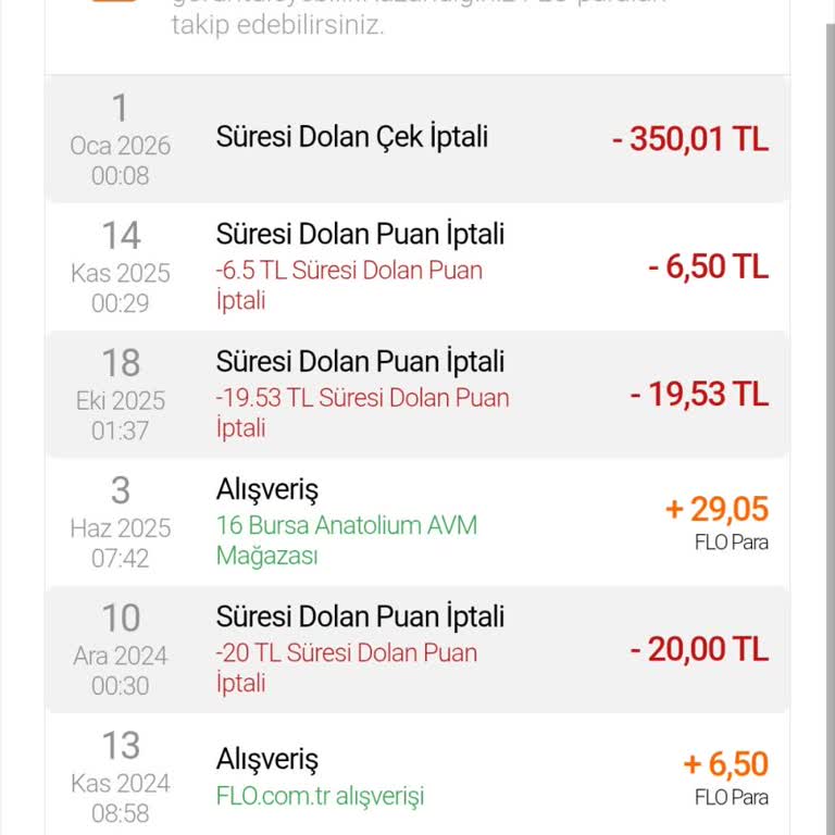 Uyarı Almadan Silinen 379 TL FLO Plus Bakiye