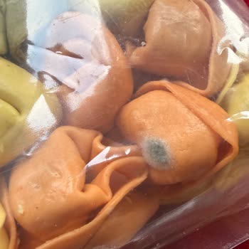 Metro Market’te Alınan Tricolore Tortelloni Hızlı Küflendi, İade Talebi