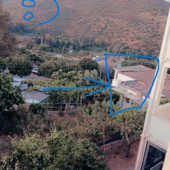 Bodrum Zabıta Ortak Alan İşgalini, Köpek Kulübesini Ve Çocuk Güvenliğini Görmezden Geliyor