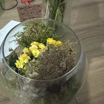 Kuru Çiçek Teslimatı Üzerine Ücret İadesi Talebi