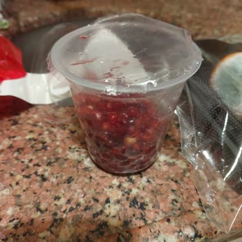 Küflü Meyve Gönderimi Ve İlgisiz Müşteri Desteği
