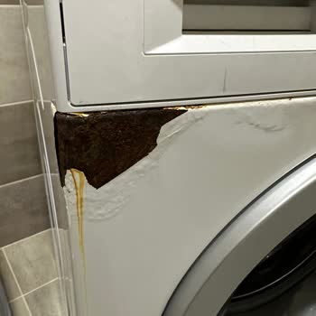 Motor Garantili Bosch Çamaşır Makinesinin Paneli Sızıntı Nedeniyle Paslandı