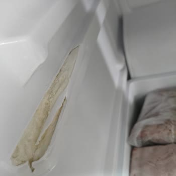Garanti Kapsamındaki Vestel Buzdolabının Tekrarlayan Arızaları Ve Ücretsiz Değişim Talebi