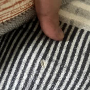 Rosen Home Mutfak Halısının 2 Ayda Yırtılması Ve Kullanıcı Hatası İddiası